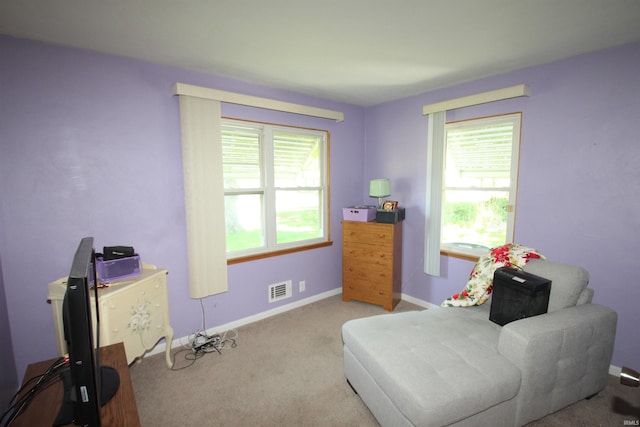19511 Eaton Ave, South Bend, IN 46637 - sitting room featuring plenty of natural light, carpet flooring, and baseboards