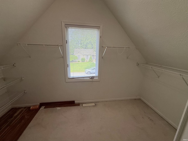 53172 Bracken Fern Dr, South Bend, IN 46637 - walk in closet featuring lofted ceiling