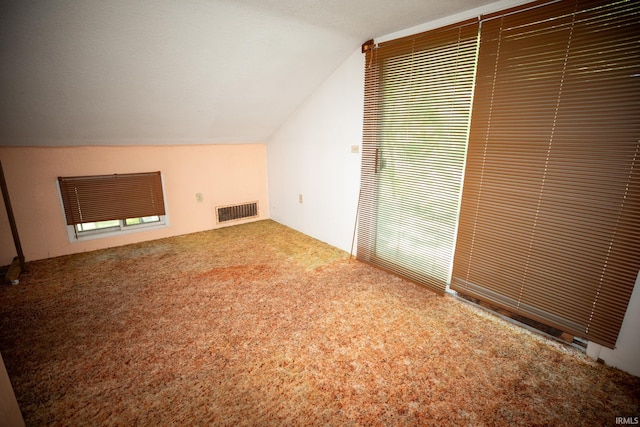 401 S Plymouth St, Culver, IN 46511 - additional living space featuring lofted ceiling and carpet flooring
