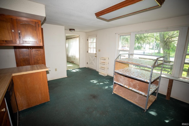 401 S Plymouth St, Culver, IN 46511 - kitchen with plenty of natural light, brown cabinets, and dark carpet