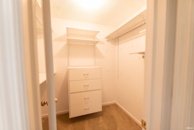 604 W Soutar Dr, Bloomington, IN 47403 - spacious closet featuring carpet