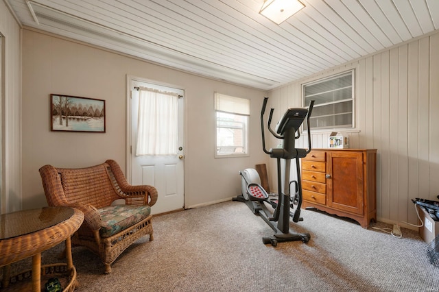 3106 W Brook Dr, Muncie, IN 47304 - exercise area featuring carpet flooring, wooden ceiling, and wood walls