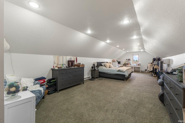2395 State Road 427th Hwy, Waterloo, IN 46793 - bedroom with lofted ceiling, a textured ceiling, carpet floors, and recessed lighting
