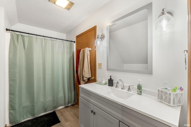 2395 State Road 427th Hwy, Waterloo, IN 46793 - bathroom with wood finished floors, vanity, and a shower with curtain