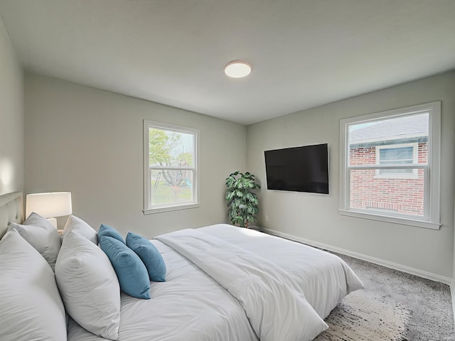 2425 Ojibway Trl, Fort Wayne, IN 46809 - bedroom with baseboards and carpet floors