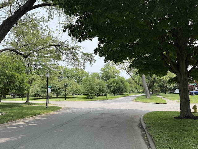 2425 Ojibway Trl, Fort Wayne, IN 46809 - view of road with street lighting and curbs