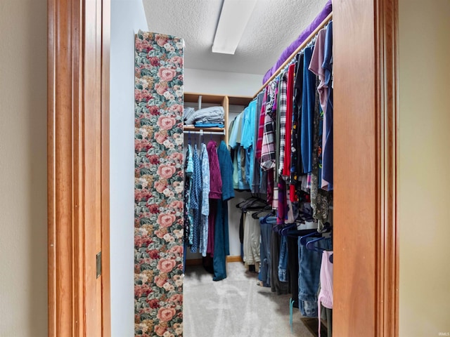 10215 Tidewater Trl, Fort Wayne, IN 46845 - spacious closet with carpet