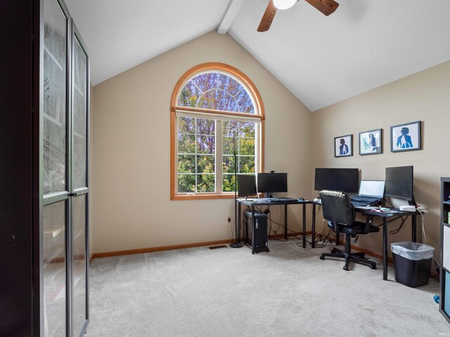 10215 Tidewater Trl, Fort Wayne, IN 46845 - carpeted home office featuring healthy amount of natural light, a ceiling fan, and baseboards