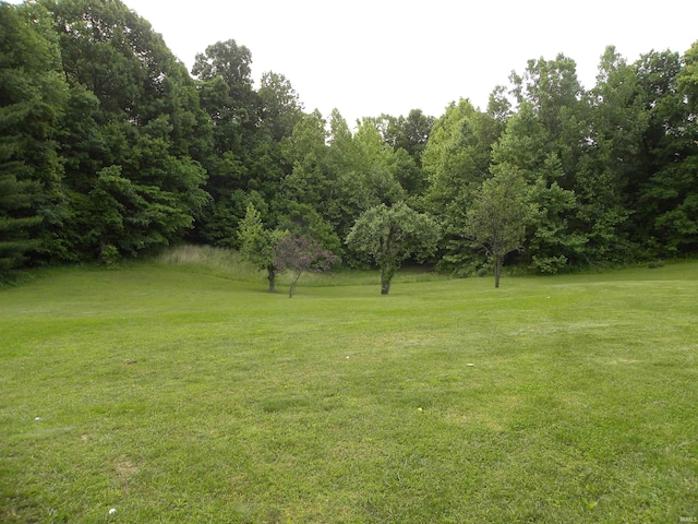 3116 Truesdel Rd, Gosport, IN 47433 - view of grassy yard