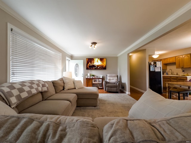 4604 Mayfield Dr, Kokomo, IN 46901 - living room with crown molding, wood finished floors, and baseboards