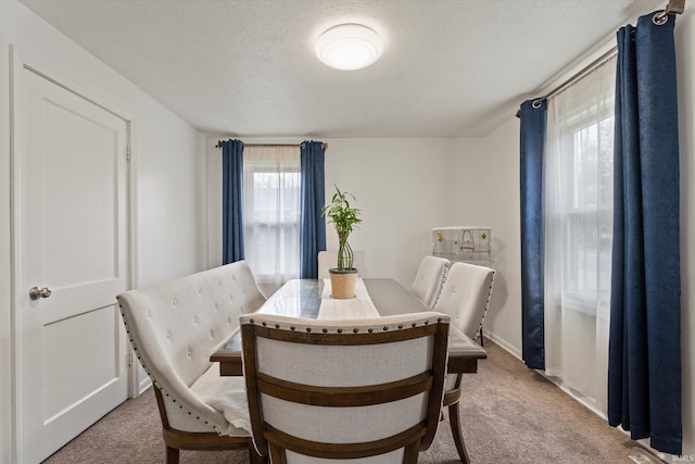 2614 N Main St, Mishawaka, IN 46545 - dining area featuring light carpet, baseboards, and a textured ceiling