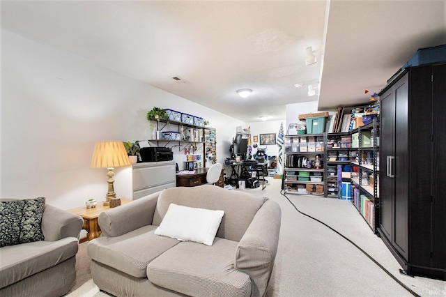 907 Eagle Blvd, Bristol, IN 46507 - living area featuring carpet