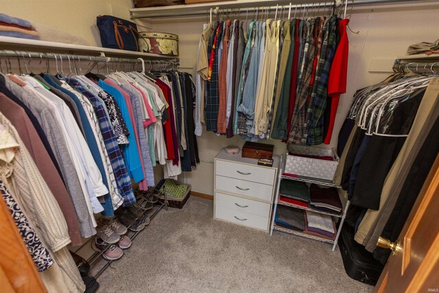54363 Adrian Ct, Osceola, IN 46561 - walk in closet with carpet flooring