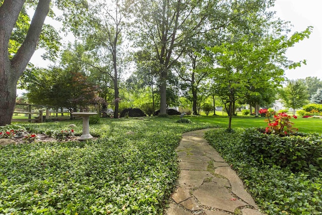 54363 Adrian Ct, Osceola, IN 46561 - view of grassy yard