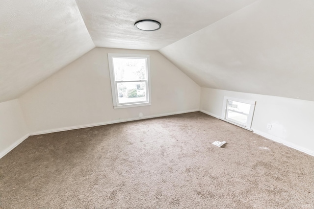 232 E Grove St, Mishawaka, IN 46545 - additional living space with vaulted ceiling, carpet, and baseboards