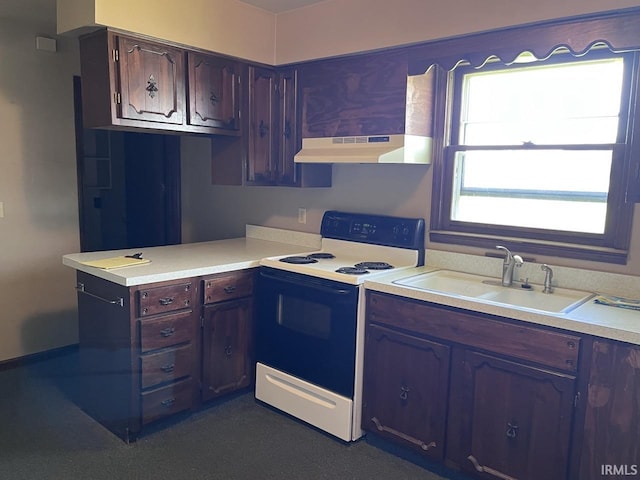 1705 Northview Blvd, Kokomo, IN 46901 - kitchen featuring range with electric stovetop, under cabinet range hood, a sink, and light countertops