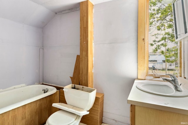 315 Division St, Elkhart, IN 46516 - bathroom featuring a tub to relax in, toilet, vanity, and vaulted ceiling