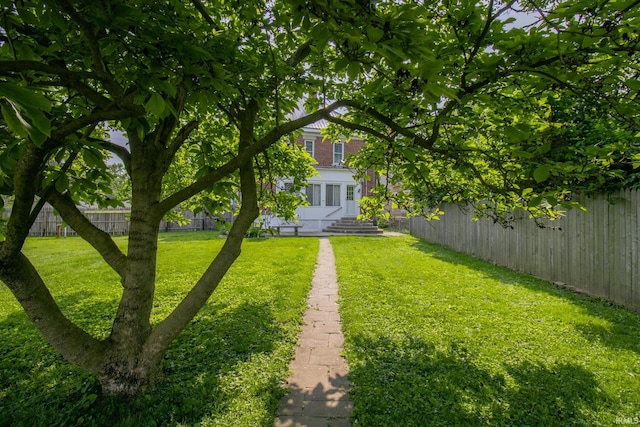 507 N Howard St, Union City, IN 47390 - view of yard
