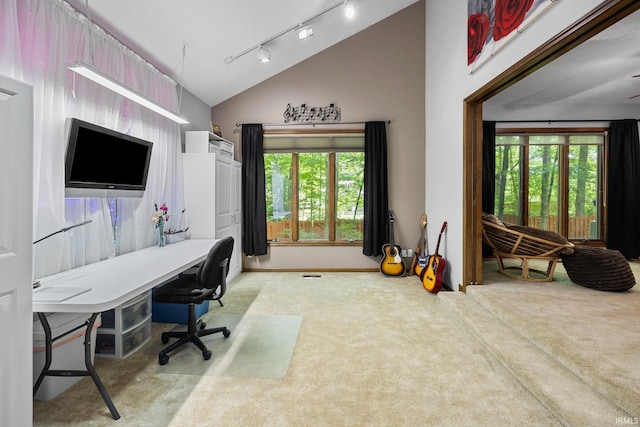 1320 Castle Dr, Lafayette, IN 47905 - carpeted office featuring vaulted ceiling, healthy amount of natural light, rail lighting, and baseboards