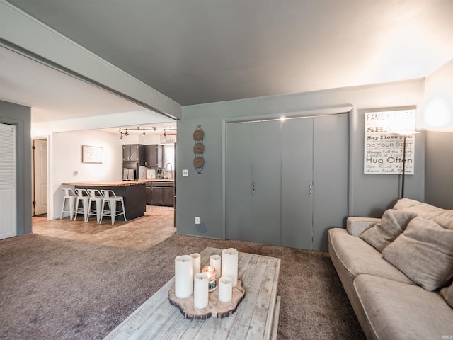 11219 Denzer Rd, Evansville, IN 47712 - living area featuring light colored carpet and track lighting