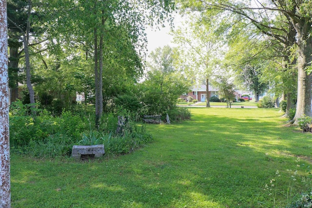802 Hasenour Ave, Jasper, IN 47546 - view of green lawn
