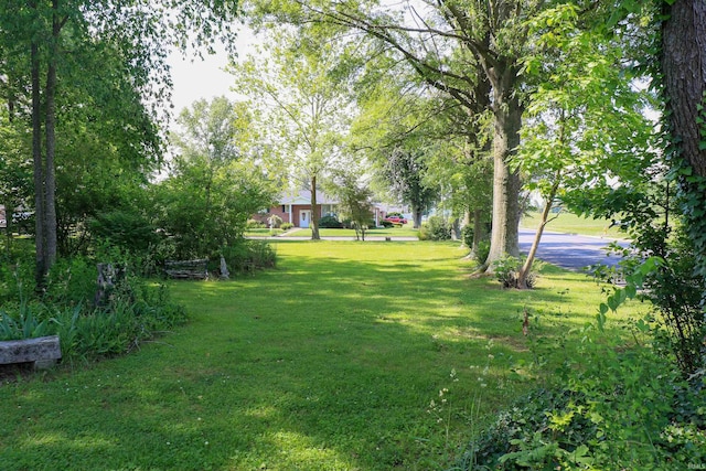 802 Hasenour Ave, Jasper, IN 47546 - view of green lawn