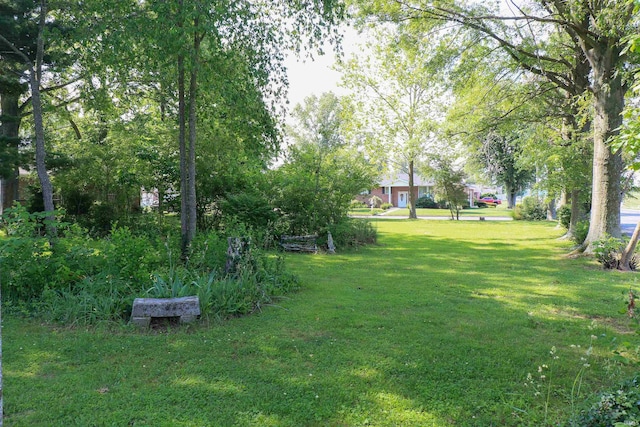 802 Hasenour Ave, Jasper, IN 47546 - view of green lawn