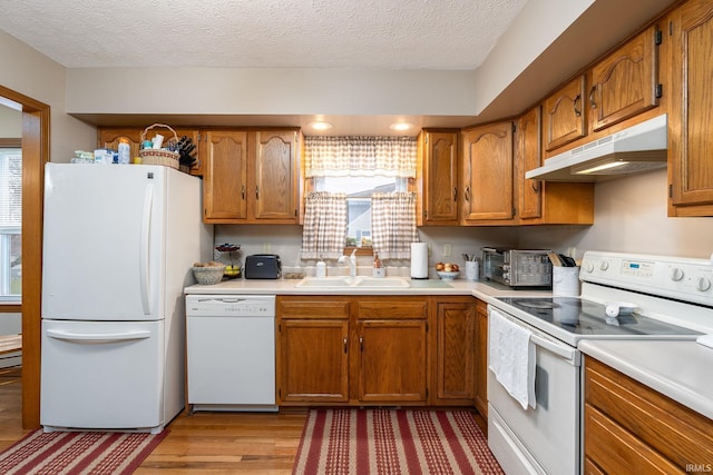 300 S Heritage Dr, Delphi, IN 46923 - kitchen featuring white appliances, a sink, under cabinet range hood, light wood-style flooring, and plenty of natural light