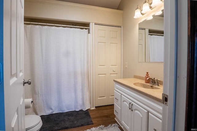 1339 Clark Ave, Bluffton, IN 46714 - full bathroom with vanity, wood finished floors, toilet, and curtained shower