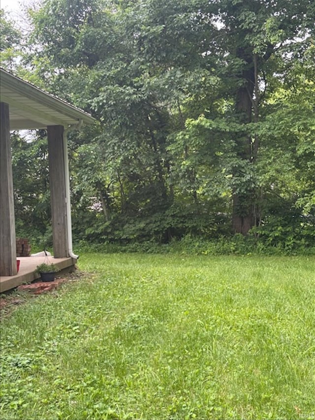 999 Inderrieden Rd, Chandler, IN 47610 - view of yard
