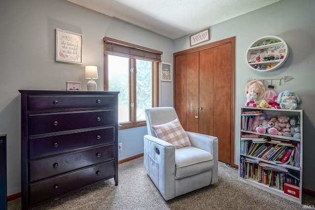 60 Elder Ct, Lafayette, IN 47905 - sitting room with carpet floors and baseboards