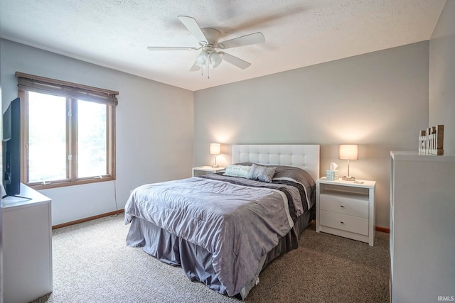 60 Elder Ct, Lafayette, IN 47905 - carpeted bedroom with baseboards, a textured ceiling, and ceiling fan