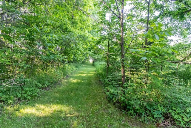 4431 Mccomb Rd, Huntertown, IN 46748 - view of nature
