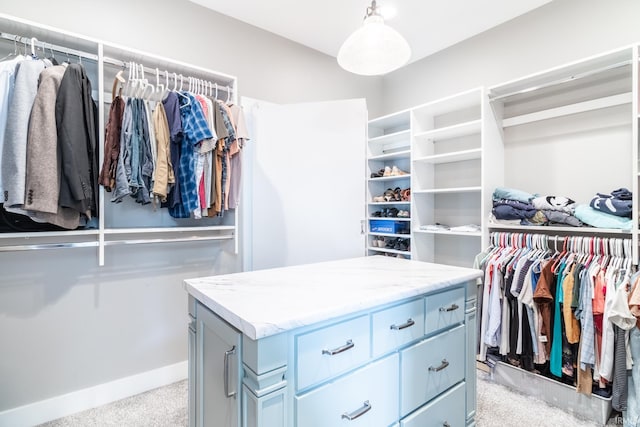 119 Artisan Pass, Fort Wayne, IN 46845 - walk in closet featuring light carpet