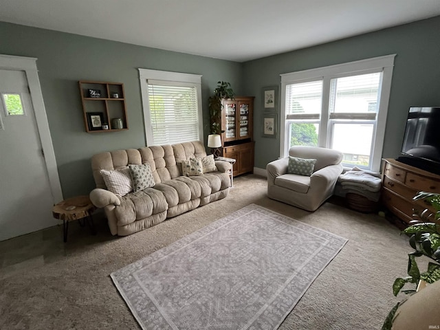 617 S Main St, Goshen, IN 46526 - living area with carpet flooring