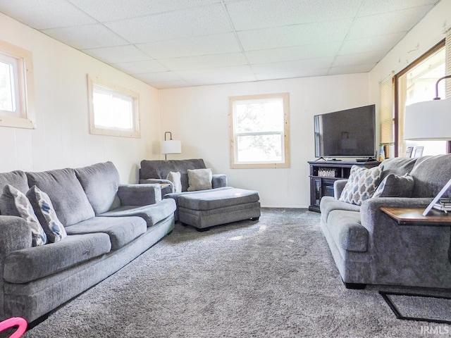2363 N Oak Dr, Bluffton, IN 46714 - living room featuring a drop ceiling, carpet floors, and healthy amount of natural light