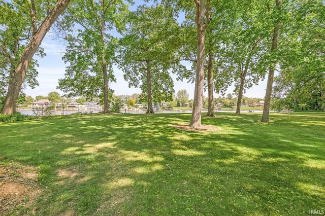 22907 State Road 120, Elkhart, IN 46516 - view of grassy yard