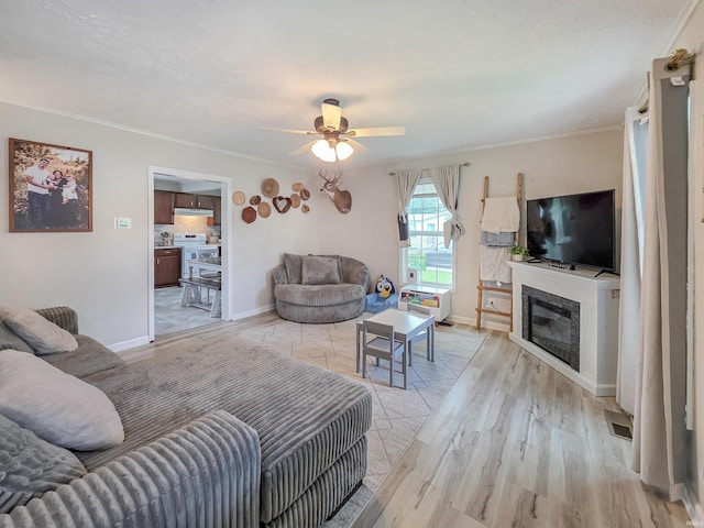 160 SW 5th St, Linton, IN 47441 - living room with a ceiling fan, light wood-style flooring, ornamental molding, baseboards, and a glass covered fireplace