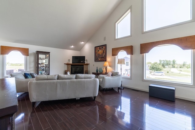 4609 N Sheldon Dr, Churubusco, IN 46723 - living room featuring dark wood-type flooring, high vaulted ceiling, a fireplace, and baseboards