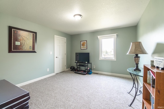 4609 N Sheldon Dr, Churubusco, IN 46723 - living area featuring carpet floors, baseboards, and a textured ceiling