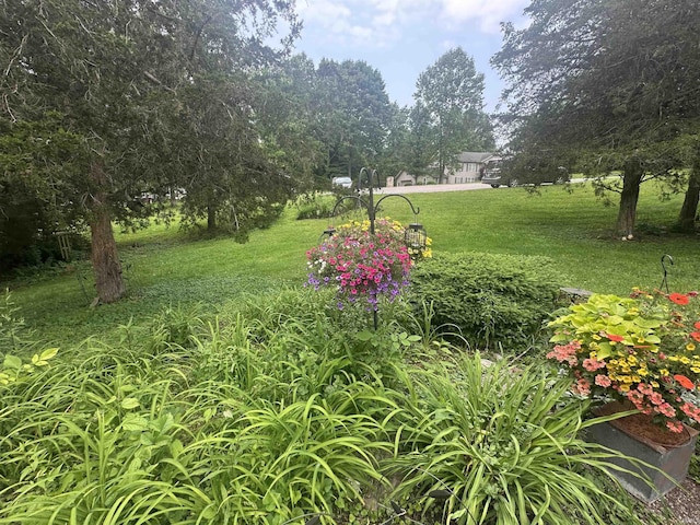 8284 S Mackenzie Ct, Bloomington, IN 47401 - view of grassy yard