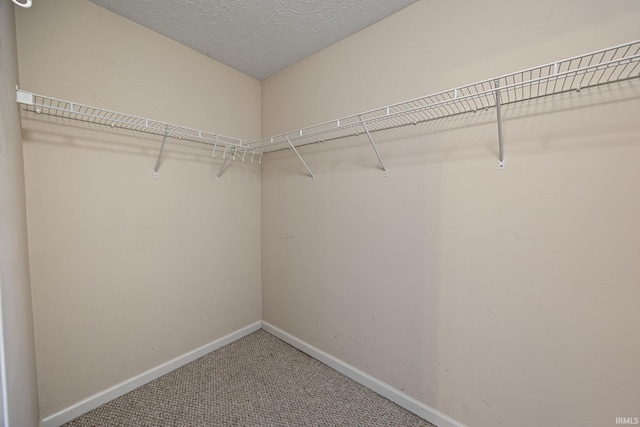 1890 Cal Dr, West Lafayette, IN 47906 - walk in closet featuring carpet flooring