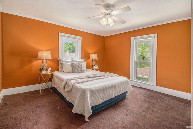 773 N E St, Wabash, IN 46992 - bedroom with multiple windows, ornamental molding, baseboards, and carpet