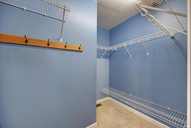 1063 S Colchester Ct, Bloomington, IN 47401 - spacious closet with carpet floors