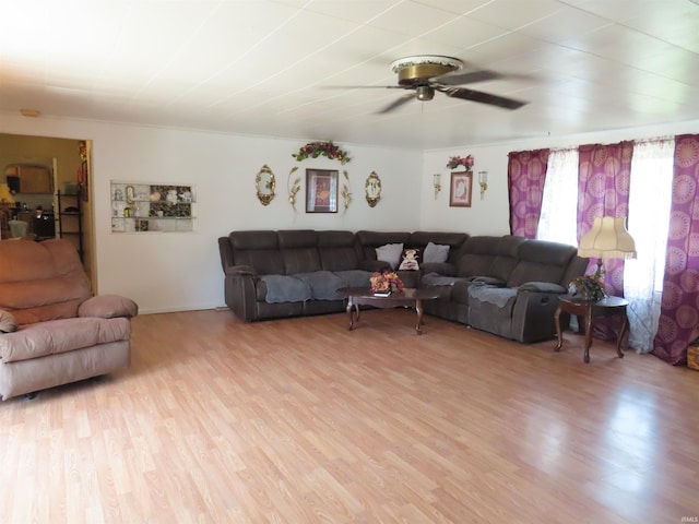 303 S Lenfesty Ave, Marion, IN 46952 - living area featuring light wood-style flooring and ceiling fan
