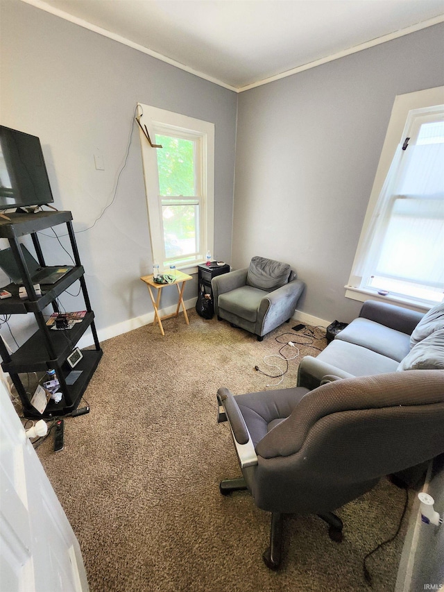 708 Columbia Ave, Fort Wayne, IN 46805 - carpeted living area with ornamental molding and baseboards