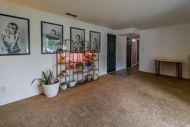 407 S Colony Dr, Garrett, IN 46738 - unfurnished room with carpet floors