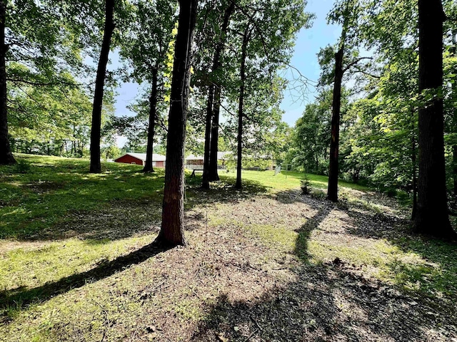 42 Center St, Avoca, IN 47420 - view of yard