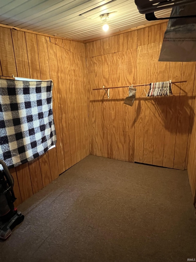 443 S State St, Sullivan, IN 47882 - below grade area featuring wooden walls and carpet floors