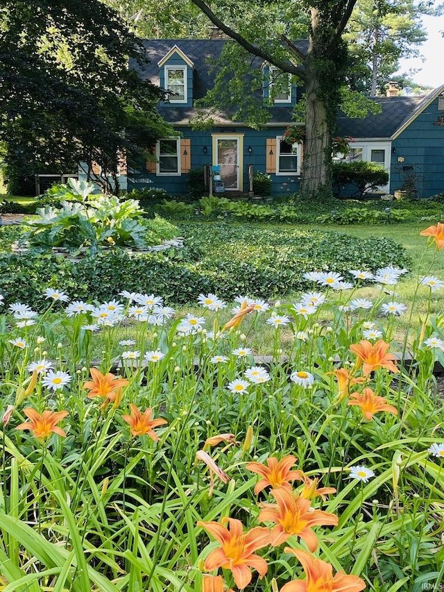 2310 Homewood Ave, Mishawaka, IN 46544 - view of yard